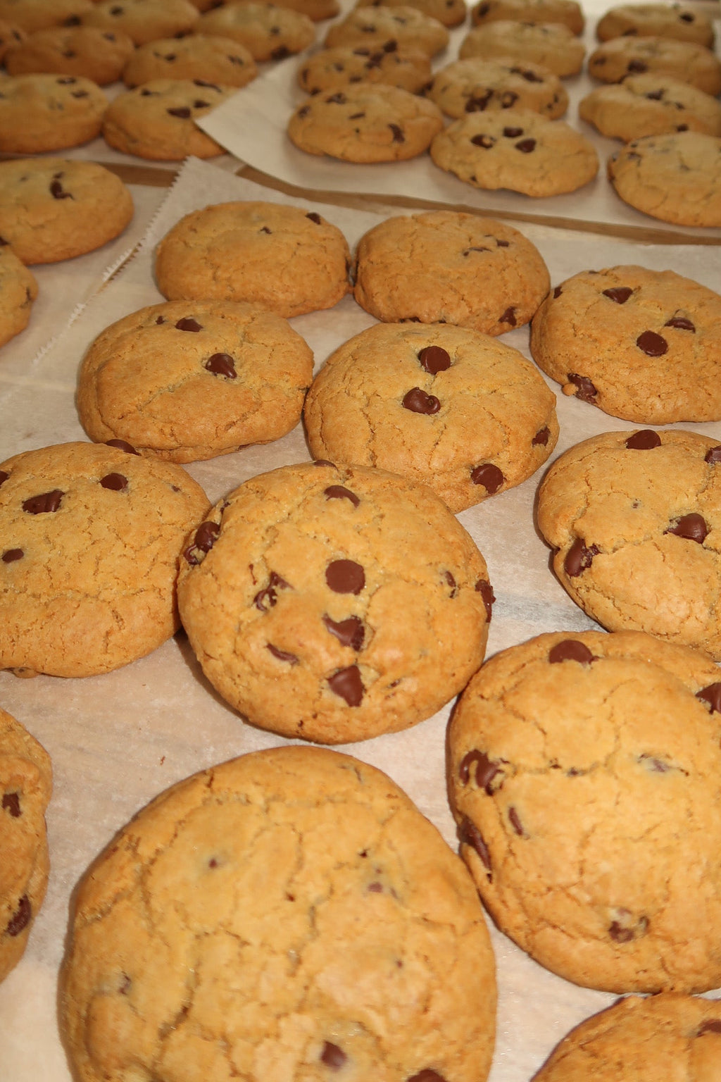 Chocolate Chip Cookie