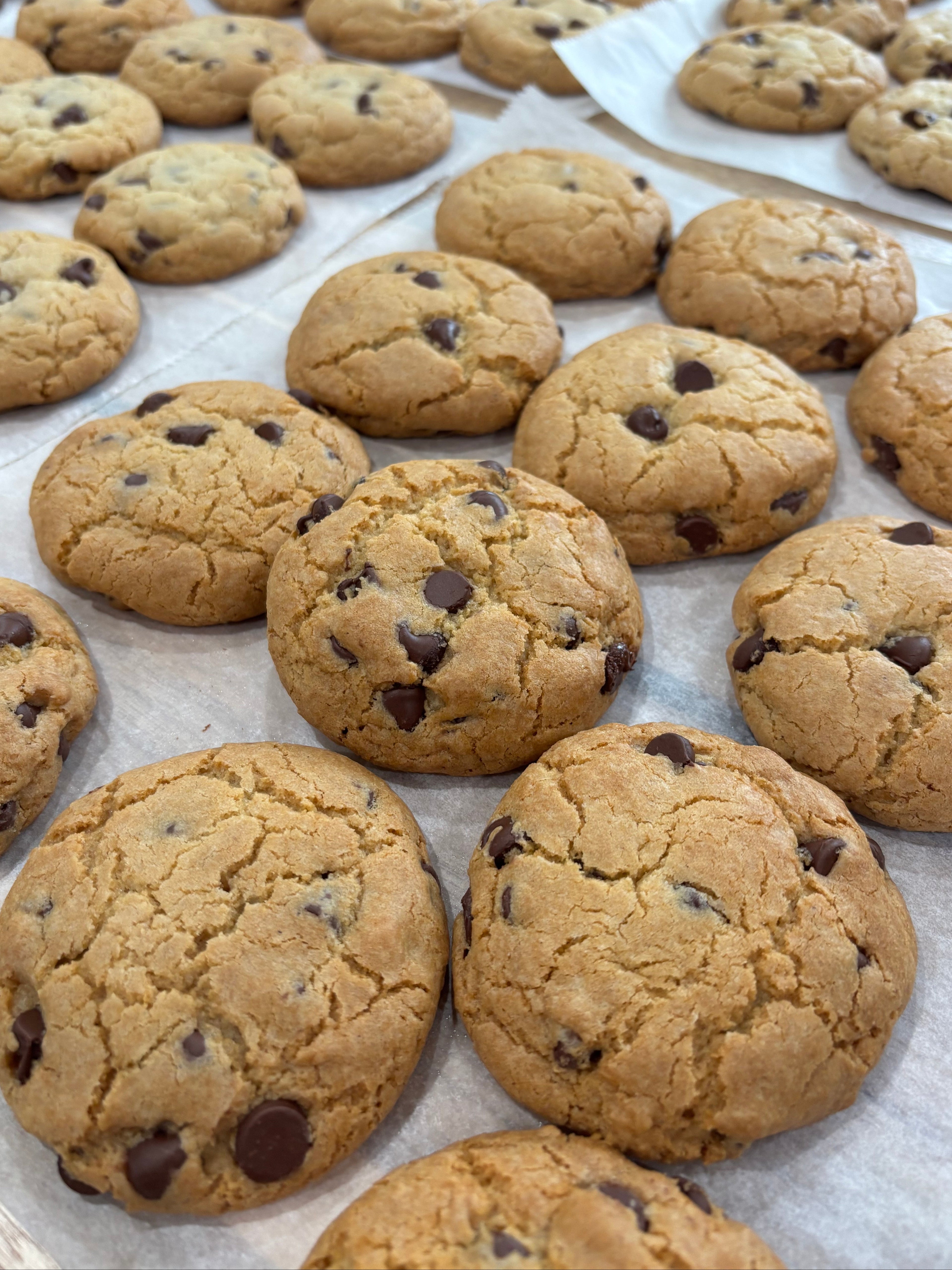 Chocolate Chip Cookie